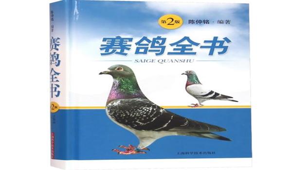 官方吃鸡手游辅助（吃鸡手游辅助的最新功能）