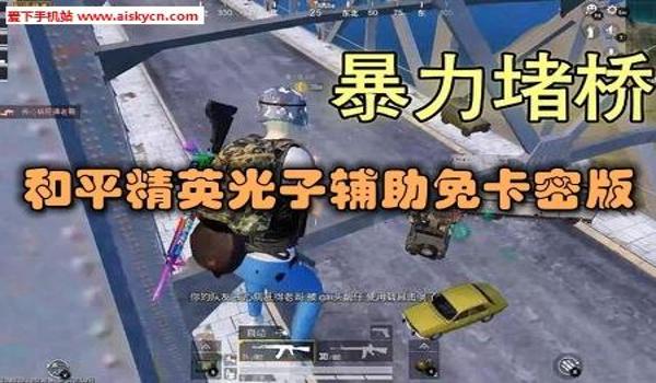 手机和平精英辅助卡密购买（和平精英辅助卡密的种类）