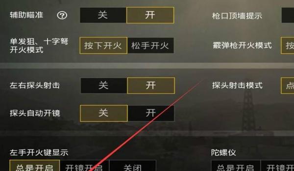 吃鸡中辅助瞄准怎么开启（吃鸡中辅助瞄准怎样开启）