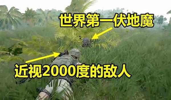 吃鸡家园挂墙花盆怎么获得（吃鸡家园绿植怎么获得）
