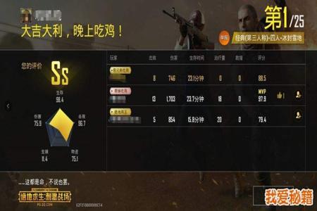 刺激战场pc模拟吃鸡辅助免费（刺激战场PC模拟吃鸡辅助免费）