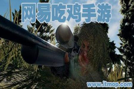 pc荒野行动蓝透辅助轻松吃鸡（如何自定义PC荒野行动蓝透辅助）