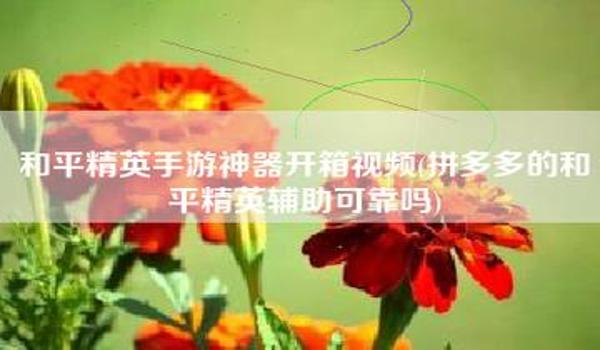 和平精英手游外挂辅助网站（和平精英外挂辅助网站的法律责任）