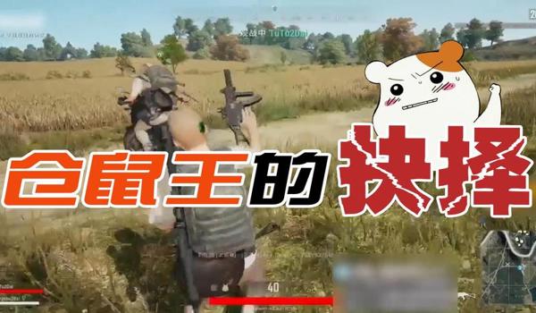 仓鼠吃鸡挂壁怎么回事（仓鼠吃鸡挂壁的处罚措施）