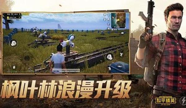 手机和平精英辅助网站有哪些（手机和平精英辅助网站）