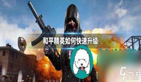 和平精英直装挂仅限国服(和平精英国服直装挂原理)