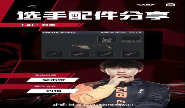和平精英手机版辅助官网(和平精英辅助官网的用户评价如何)