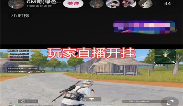 吃鸡中怎么巡查开挂人物(玩家自查开挂技巧)