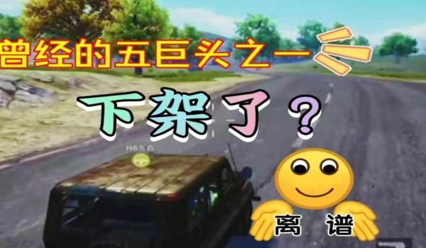 手游吃鸡离谱挂（手游吃鸡外挂产生的原因）