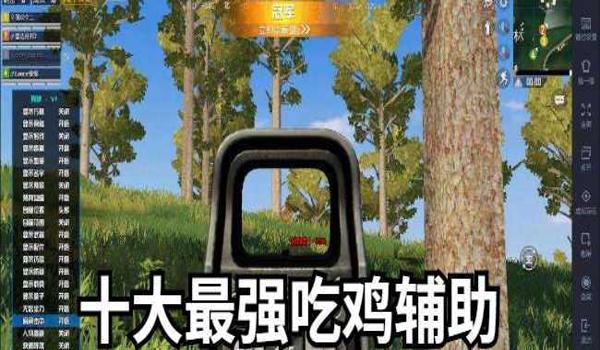吃鸡破解辅助直装（吃鸡辅助的法律风险）
