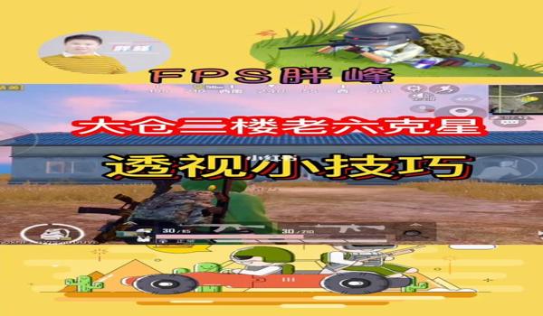 和平精英里如何开挂手机版（和平精英透视挂原理）