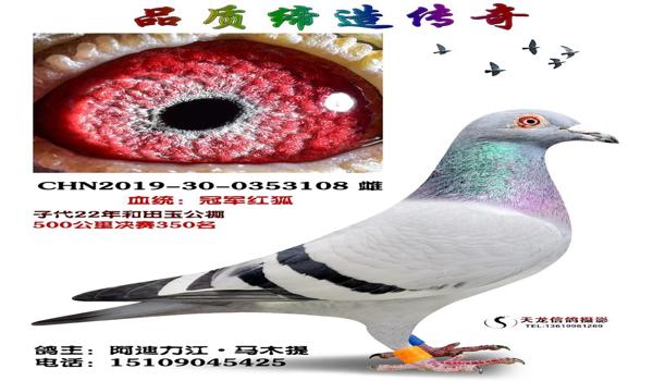 红狐吃鸡辅助下载安卓手机（红狐吃鸡辅助的安装教程视频）