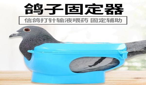 和平精英辅助工具透视下载手机版(和平精英辅助工具透视的使用教程)
