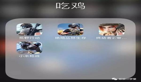 吃鸡手游挂群（吃鸡手游挂群的形成机制）