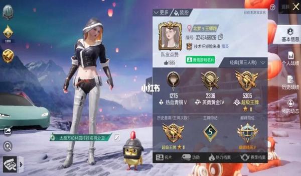 和平精英手游版怎么开辅助（和平精英辅助软件哪个好）