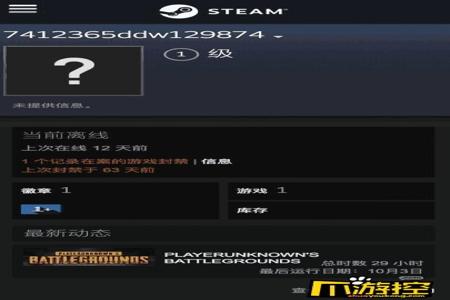 吃鸡开挂的电脑能登steam吗(吃鸡开挂电脑登录Steam的风险)